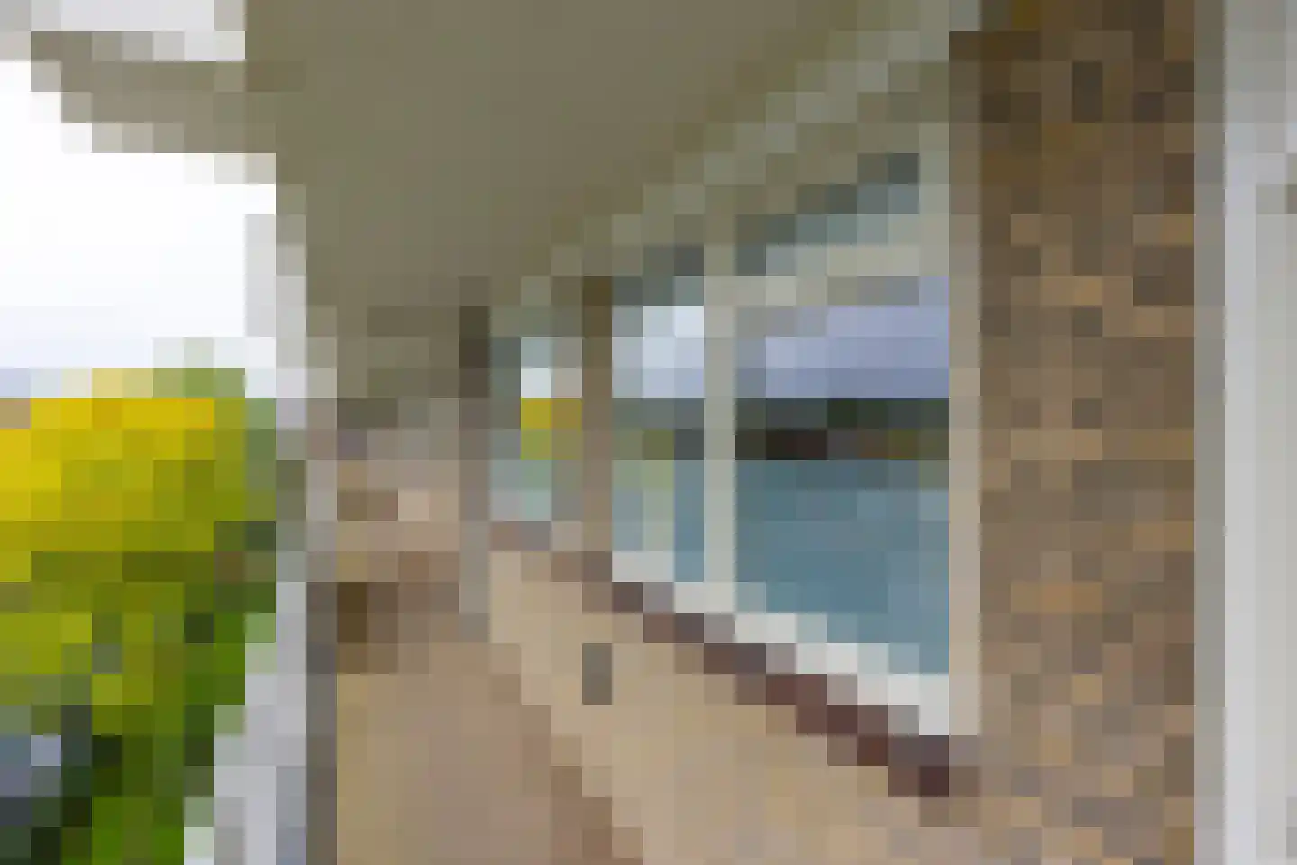 Ravellaan 111 Utrecht thumbnail 40