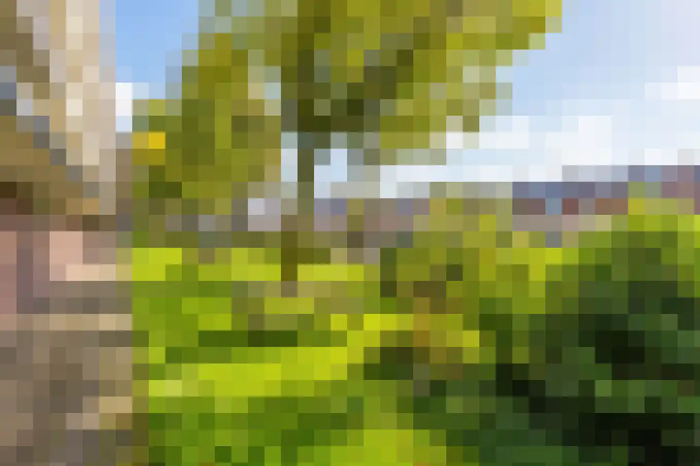 Ravellaan 111 Utrecht thumbnail 43