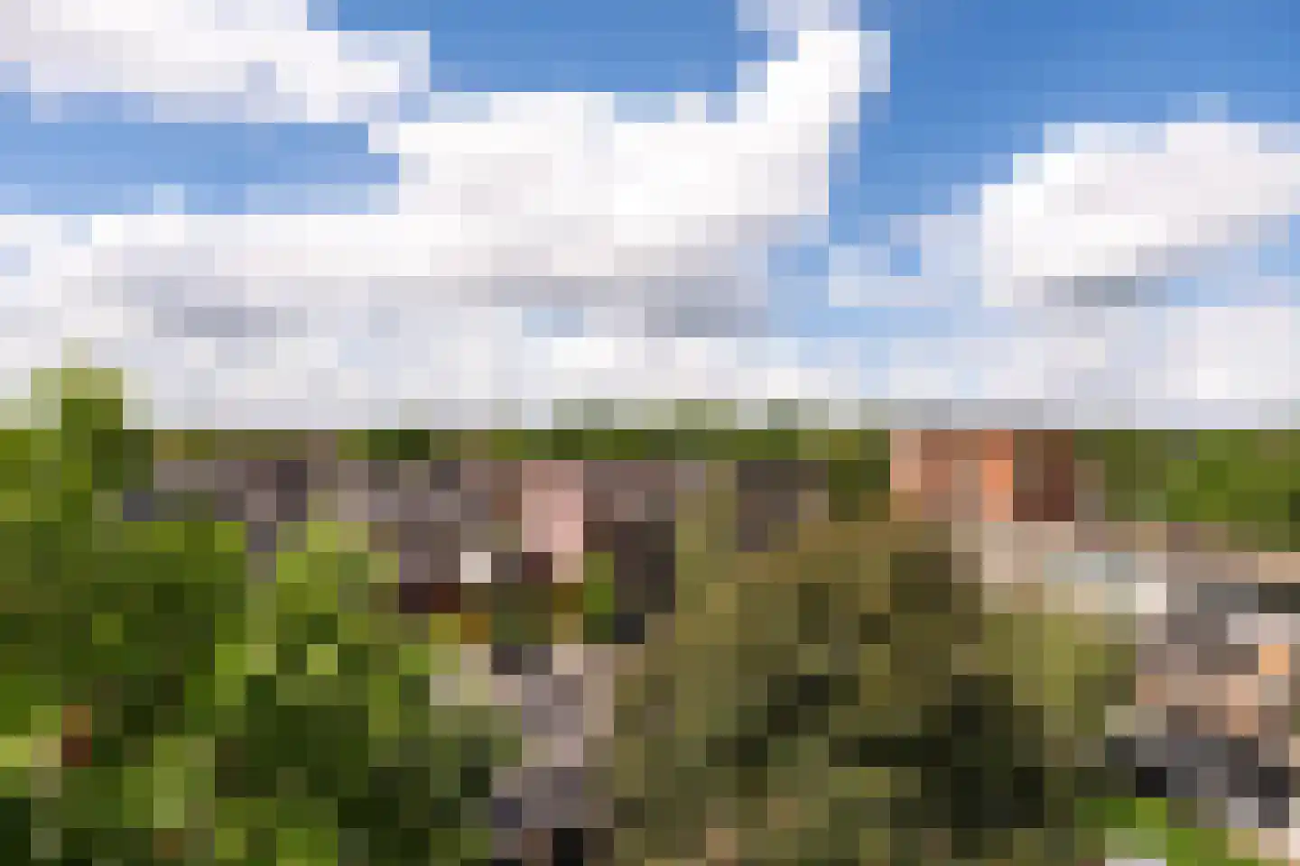 Ravellaan 133 Utrecht thumbnail 15