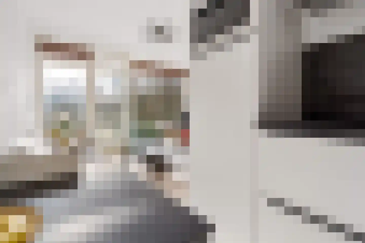 Ravellaan 149 Utrecht thumbnail 12