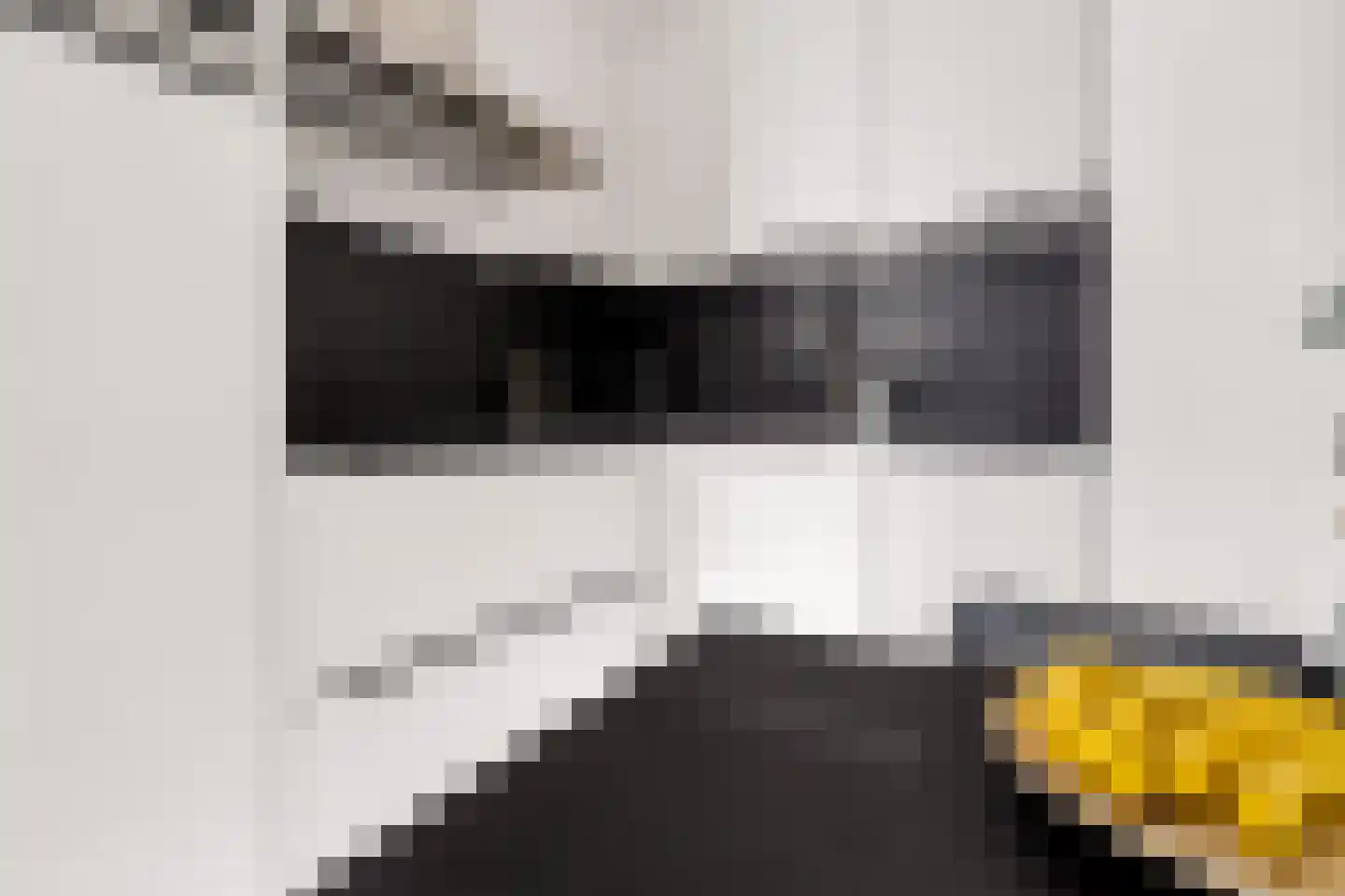 Ravellaan 149 Utrecht thumbnail 14