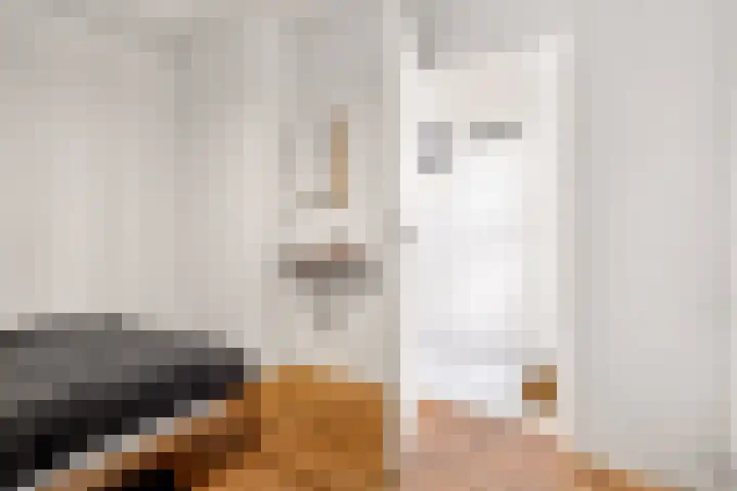 Ravellaan 149 Utrecht thumbnail 16