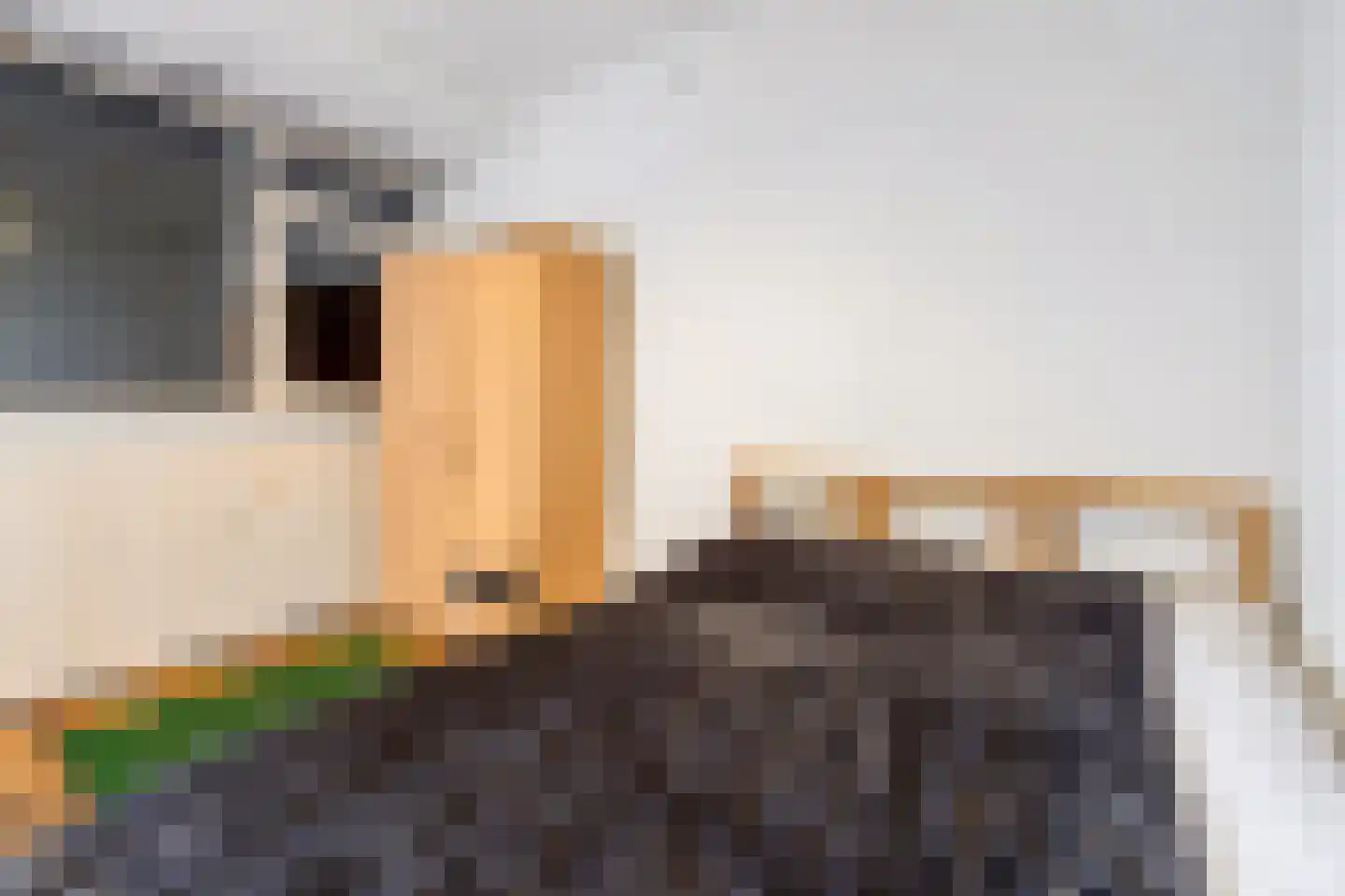 Ravellaan 149 Utrecht thumbnail 17