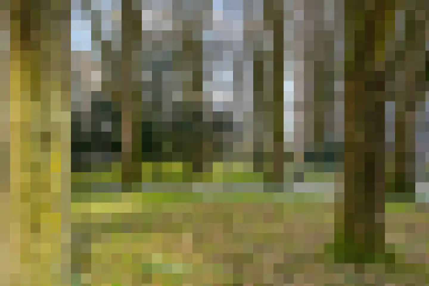 Ravellaan 149 Utrecht thumbnail 23