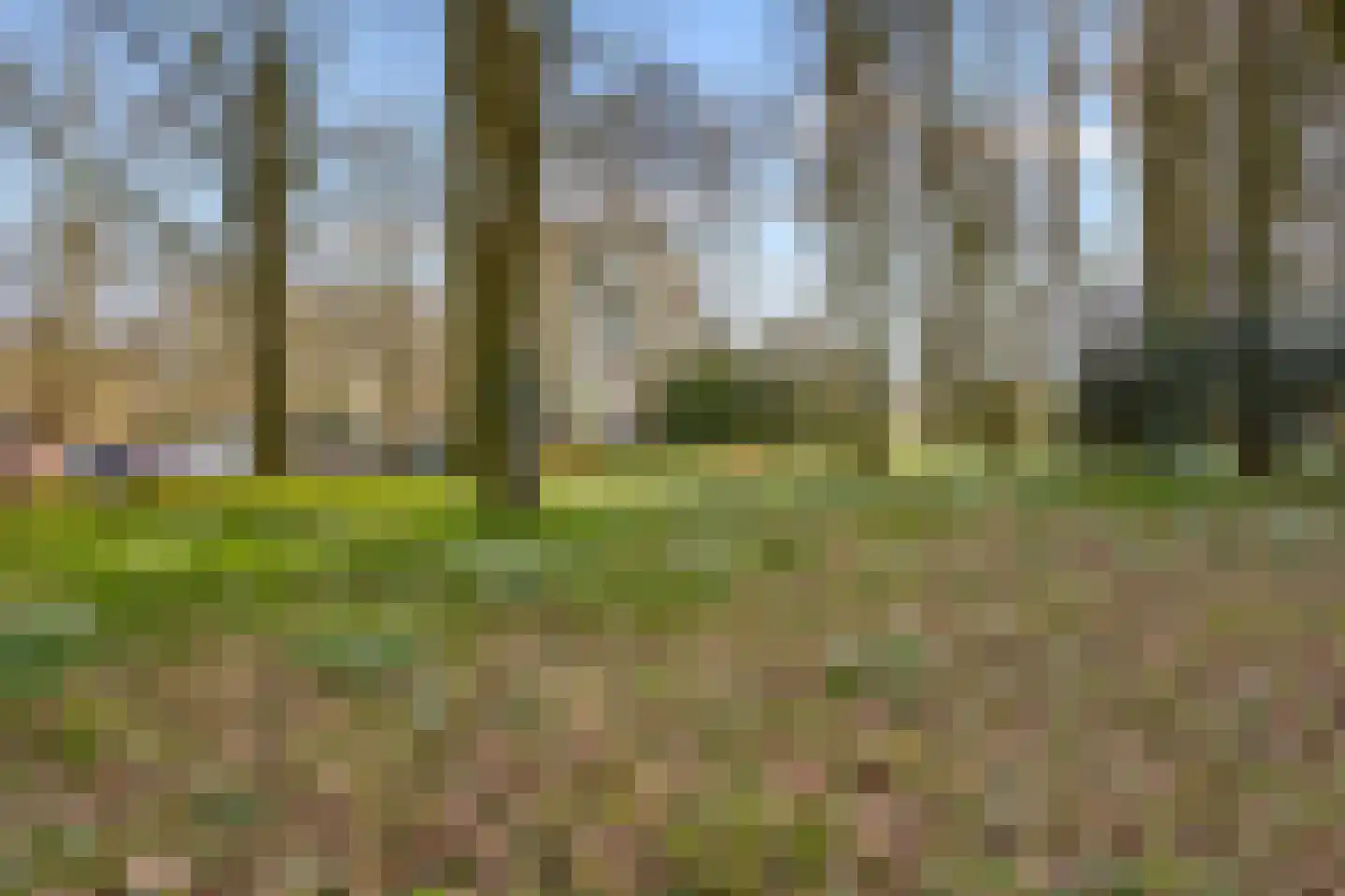 Ravellaan 149 Utrecht thumbnail 24