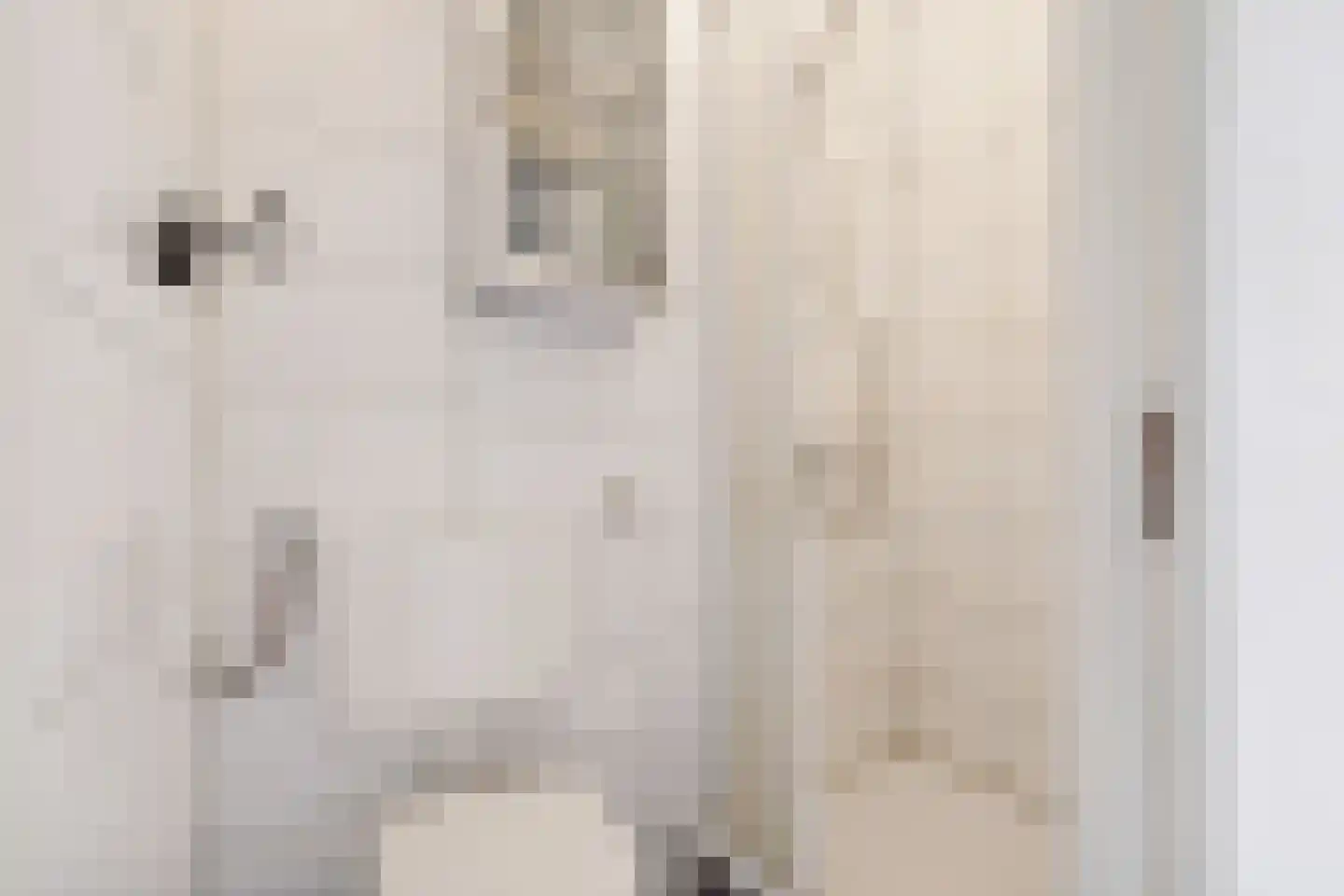 Ravellaan 149 Utrecht thumbnail 4