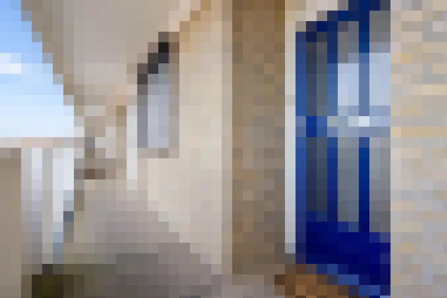 Ravellaan 149 Utrecht thumbnail 7