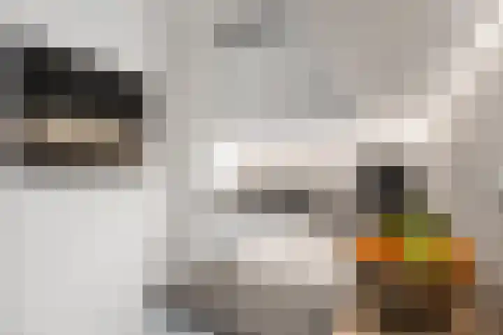 Ravellaan 151 Utrecht thumbnail 13