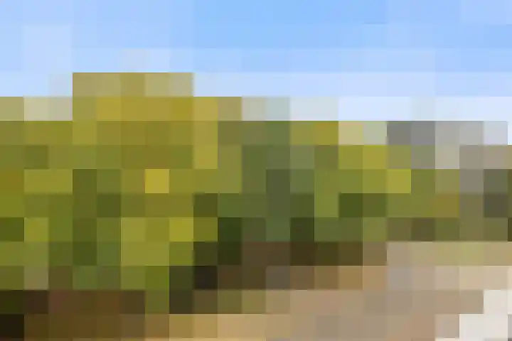 Ravellaan 151 Utrecht thumbnail 15