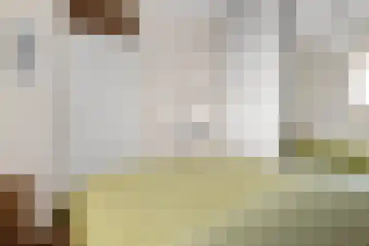 Ravellaan 151 Utrecht thumbnail 20