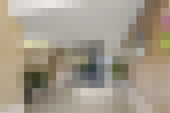 Ravellaan 151 Utrecht thumbnail 5