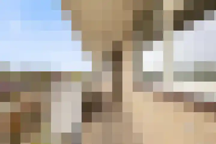 Ravellaan 151 Utrecht thumbnail 6