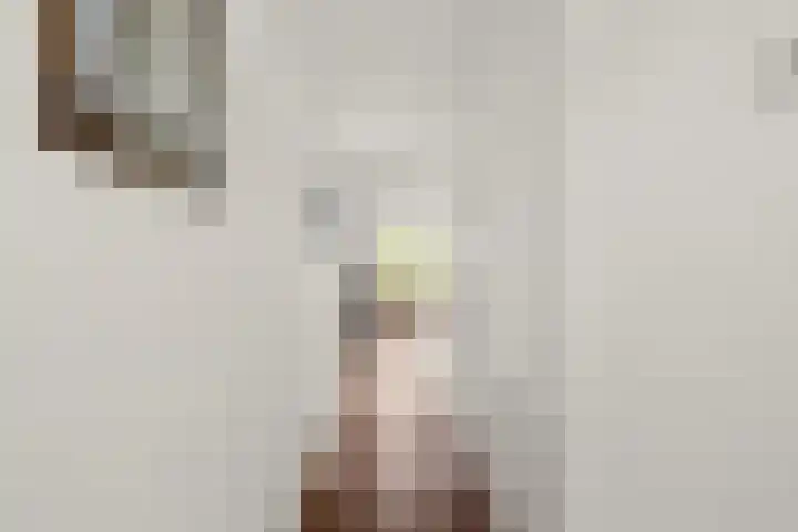 Ravellaan 151 Utrecht thumbnail 8
