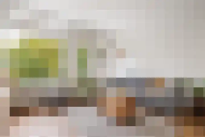 Ravellaan 151 Utrecht thumbnail 9