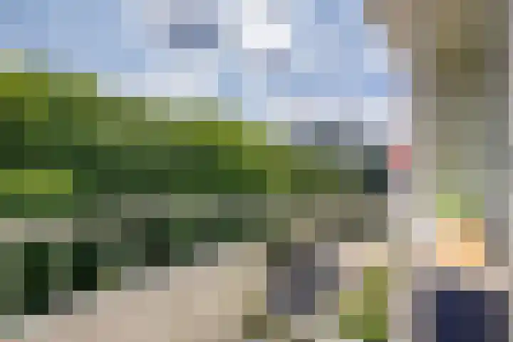 Ravellaan 157 Utrecht thumbnail 12