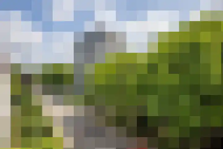 Ravellaan 157 Utrecht thumbnail 13
