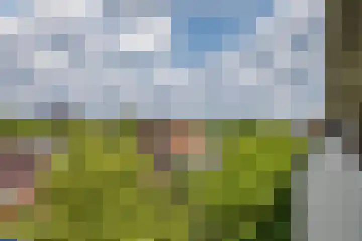 Ravellaan 157 Utrecht thumbnail 22
