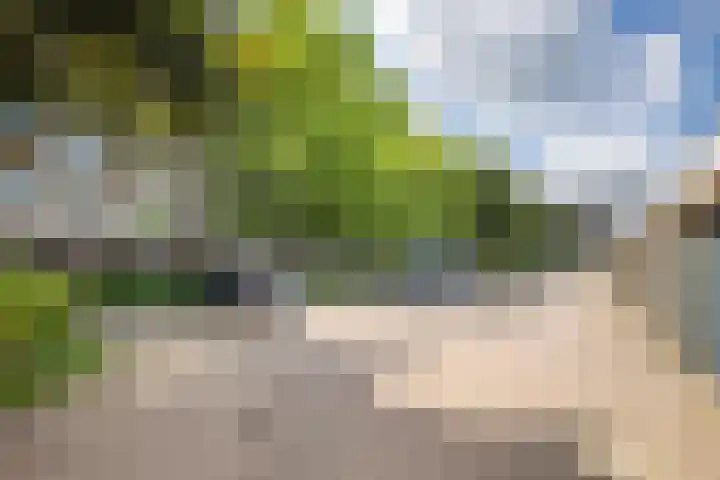 Ravellaan 157 Utrecht thumbnail 23