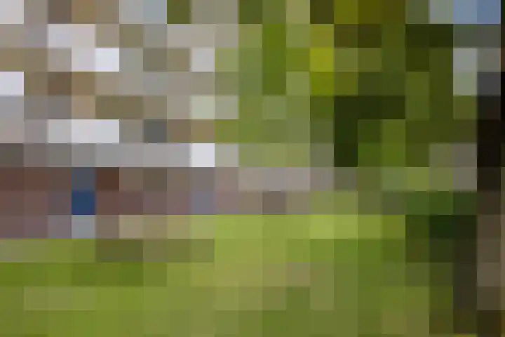 Ravellaan 157 Utrecht thumbnail 24