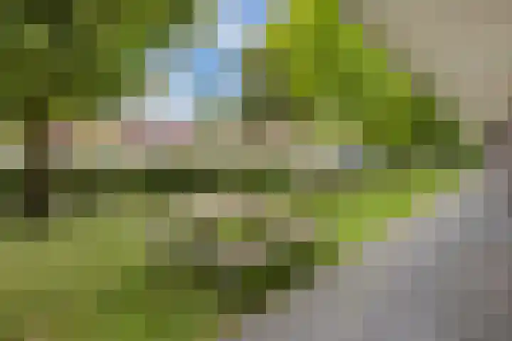 Ravellaan 157 Utrecht thumbnail 25