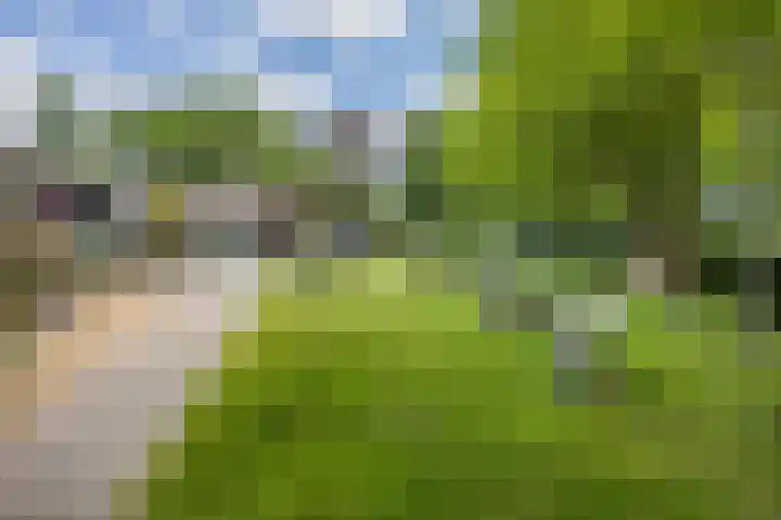 Ravellaan 157 Utrecht thumbnail 26