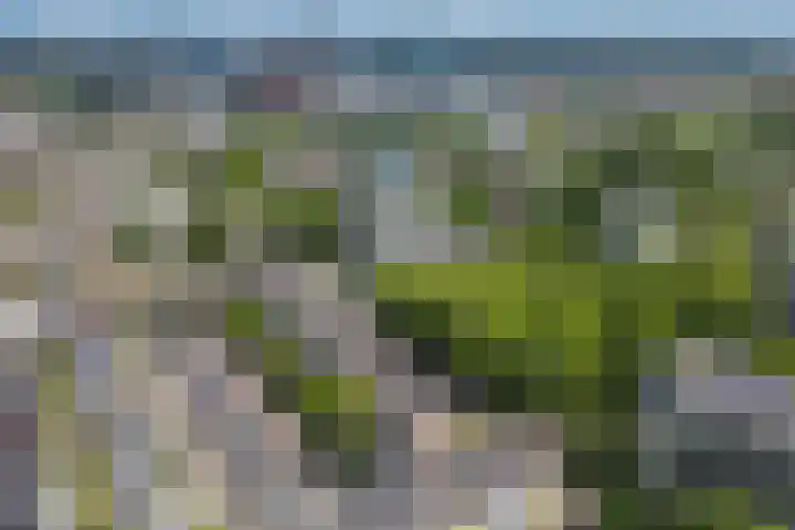 Ravellaan 157 Utrecht thumbnail 28