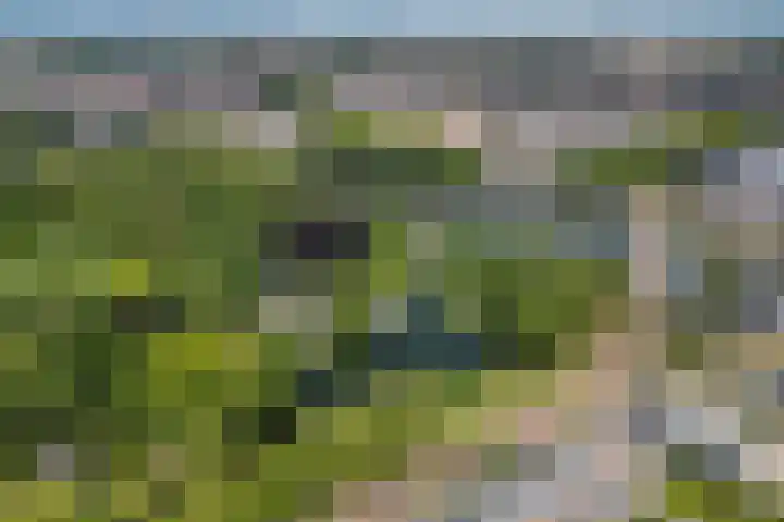 Ravellaan 157 Utrecht thumbnail 29