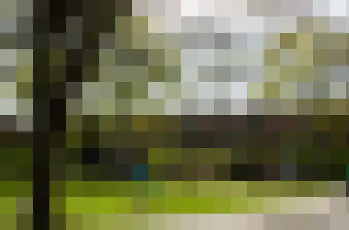 Ravellaan 157 Utrecht thumbnail 31