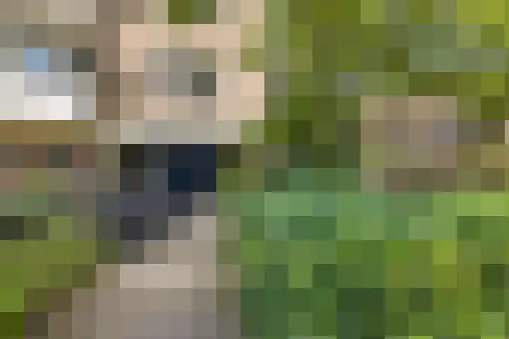 Ravellaan 157 Utrecht thumbnail 4