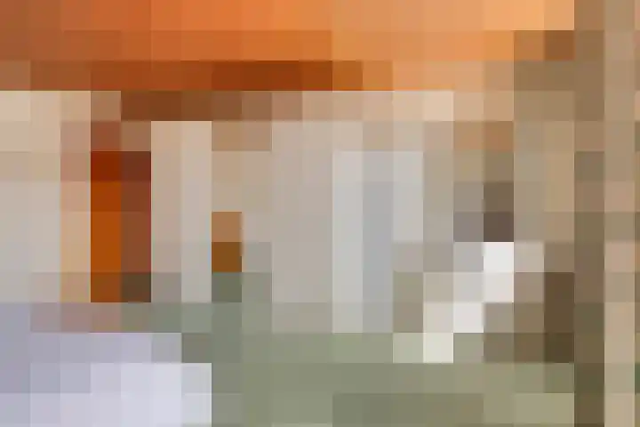 Ravellaan 18 Tilburg thumbnail 21
