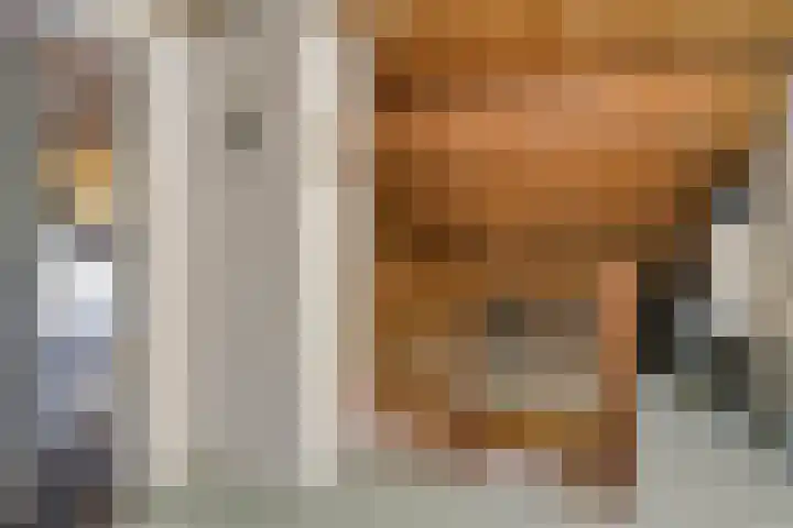 Ravellaan 18 Tilburg thumbnail 30