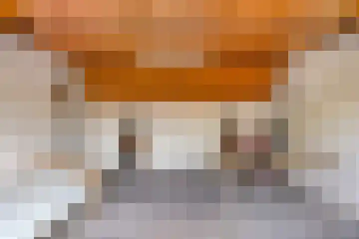 Ravellaan 18 Tilburg thumbnail 33