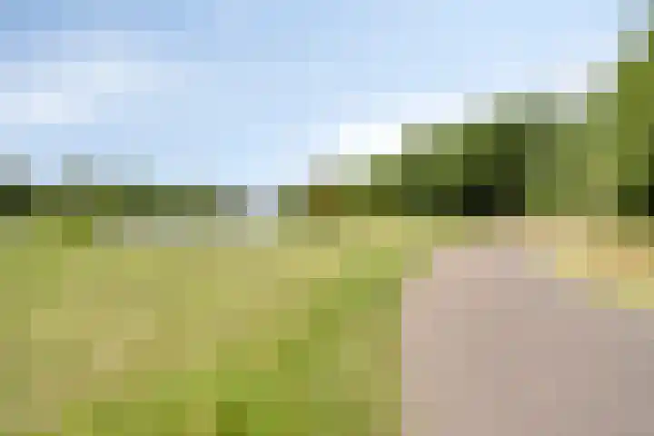 Ravellaan 18 Tilburg thumbnail 44