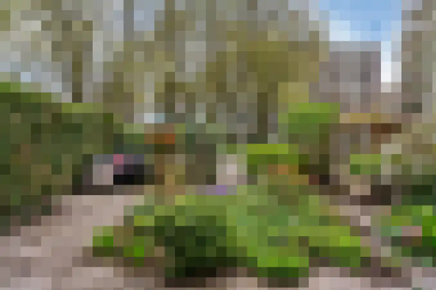 Ravellaan 197 Utrecht thumbnail 23