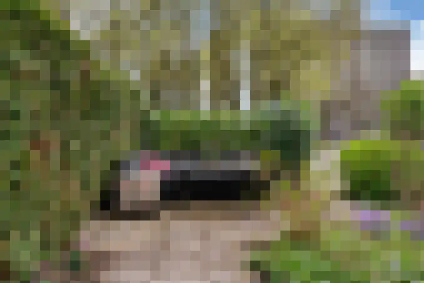 Ravellaan 197 Utrecht thumbnail 24