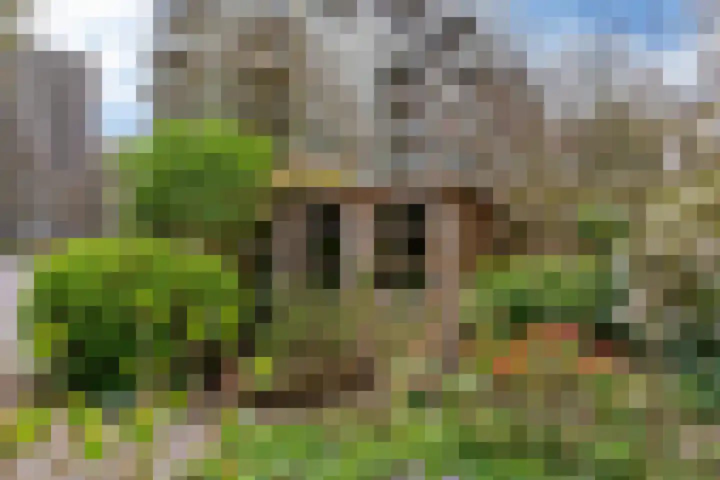 Ravellaan 197 Utrecht thumbnail 25