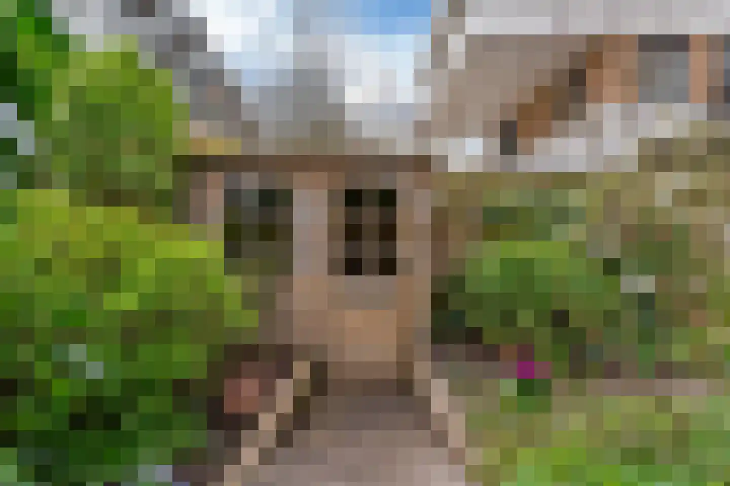 Ravellaan 197 Utrecht thumbnail 26