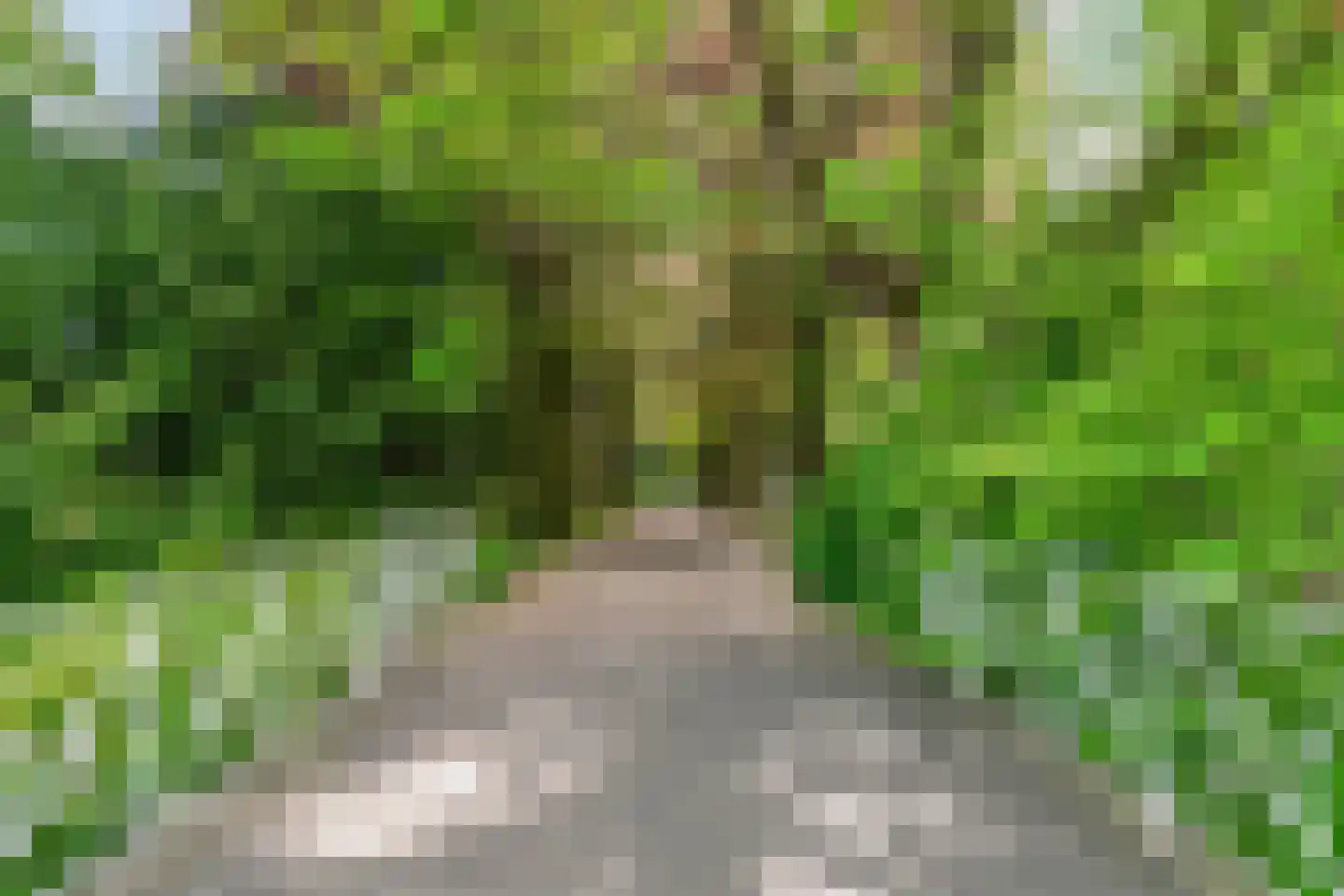 Ravellaan 197 Utrecht thumbnail 35