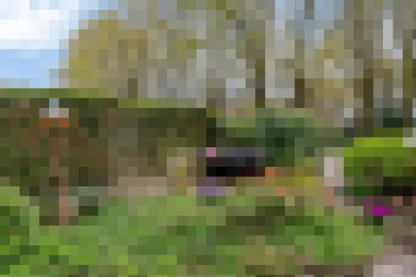 Ravellaan 197 Utrecht thumbnail 5