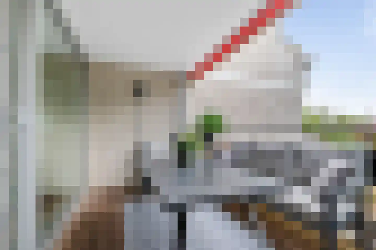 Ravellaan 20 Heemstede thumbnail 10