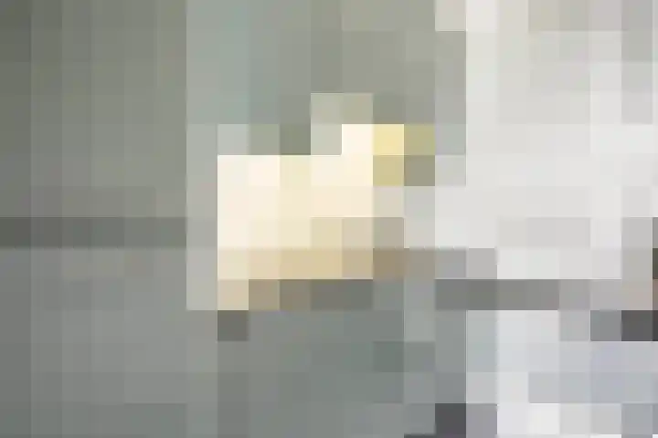 Ravellaan 22 Heemstede thumbnail 6