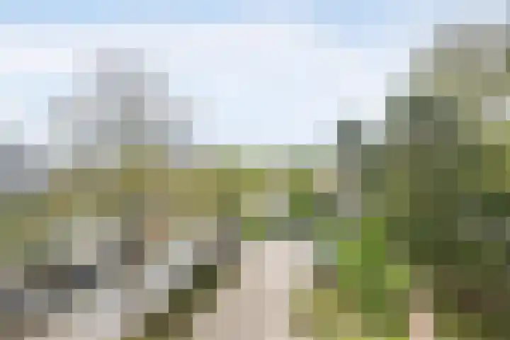 Ravellaan 22 Heemstede thumbnail 7