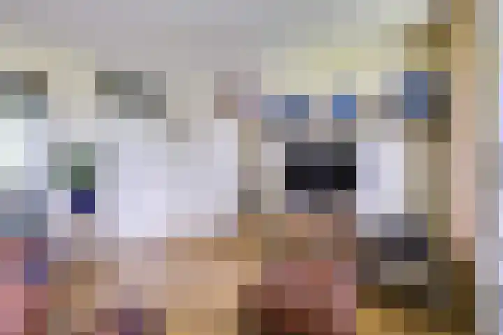 Ravellaan 242 Utrecht thumbnail 15