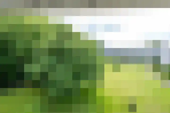 Ravellaan 242 Utrecht thumbnail 23