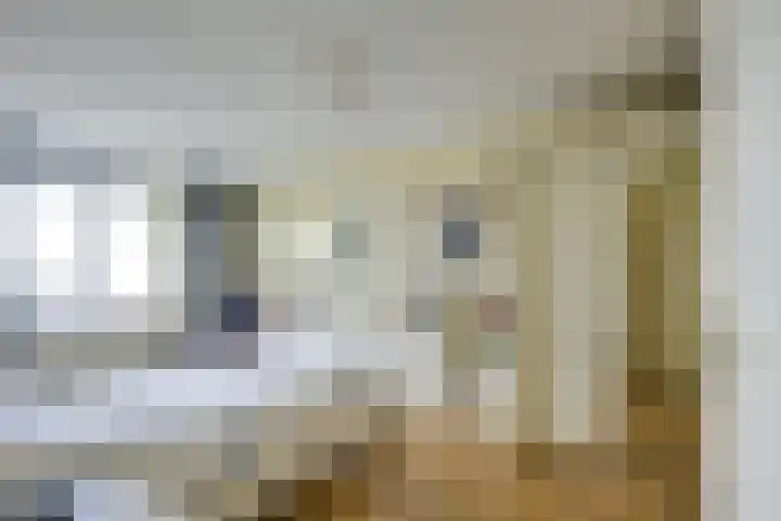 Ravellaan 242 Utrecht thumbnail 28