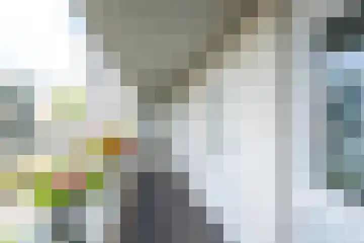 Ravellaan 242 Utrecht thumbnail 30