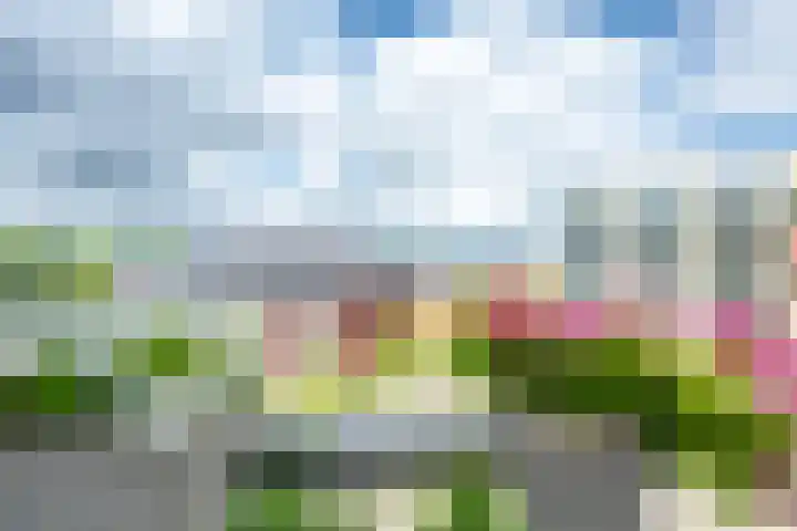Ravellaan 242 Utrecht thumbnail 32