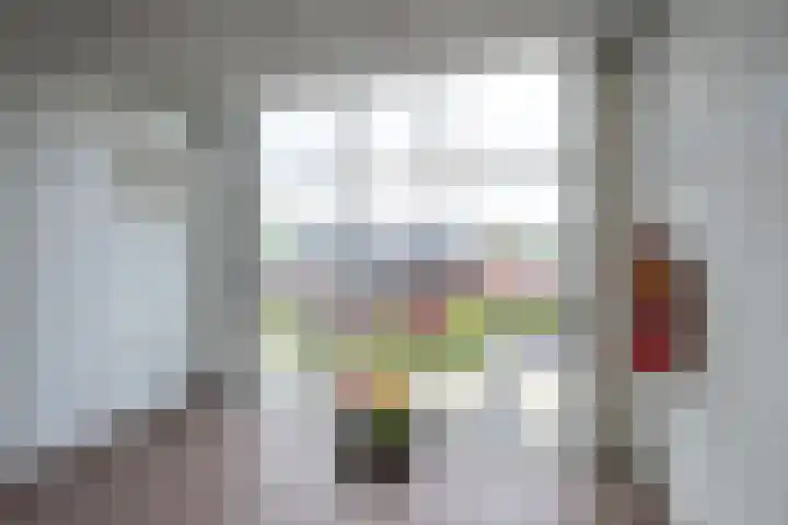 Ravellaan 242 Utrecht thumbnail 35