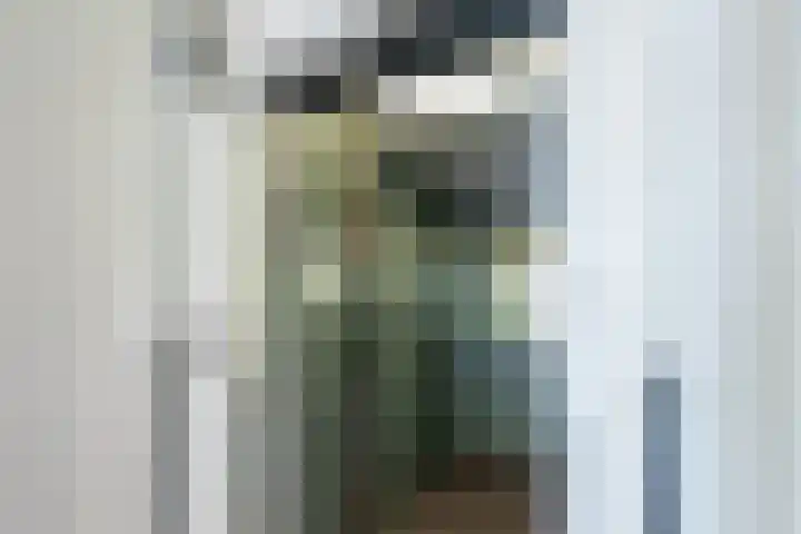 Ravellaan 242 Utrecht thumbnail 36