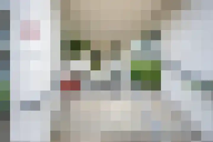 Ravellaan 242 Utrecht thumbnail 38